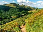 G4 Bieszczady