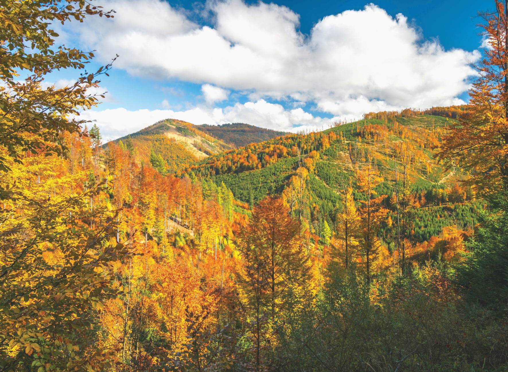 G5-Beskidy